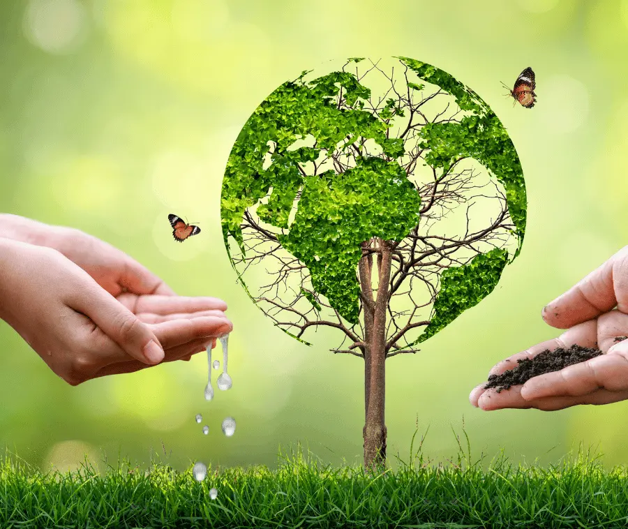 Environment law firm ، البيئة